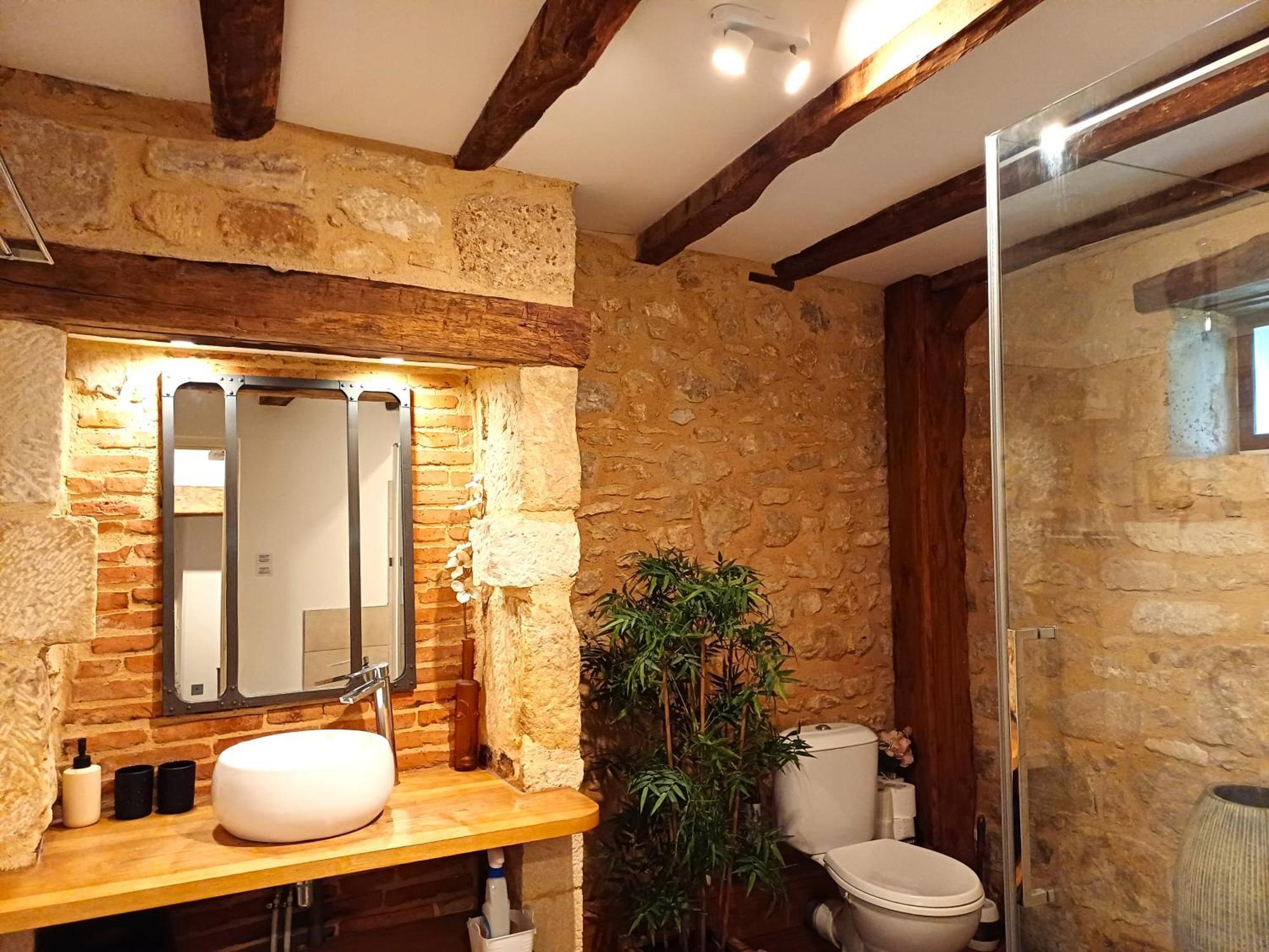 Au Pied Du Chateau - 5 A 11 Personnes - Baignade-Canoe-Piste Cyclable A 100 M Castelnaud La Chapelle Ngoại thất bức ảnh