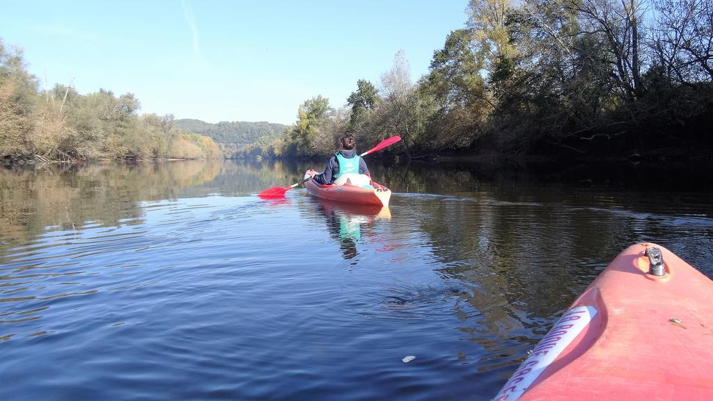 Au Pied Du Chateau - 5 A 11 Personnes - Baignade-Canoe-Piste Cyclable A 100 M Castelnaud La Chapelle Ngoại thất bức ảnh