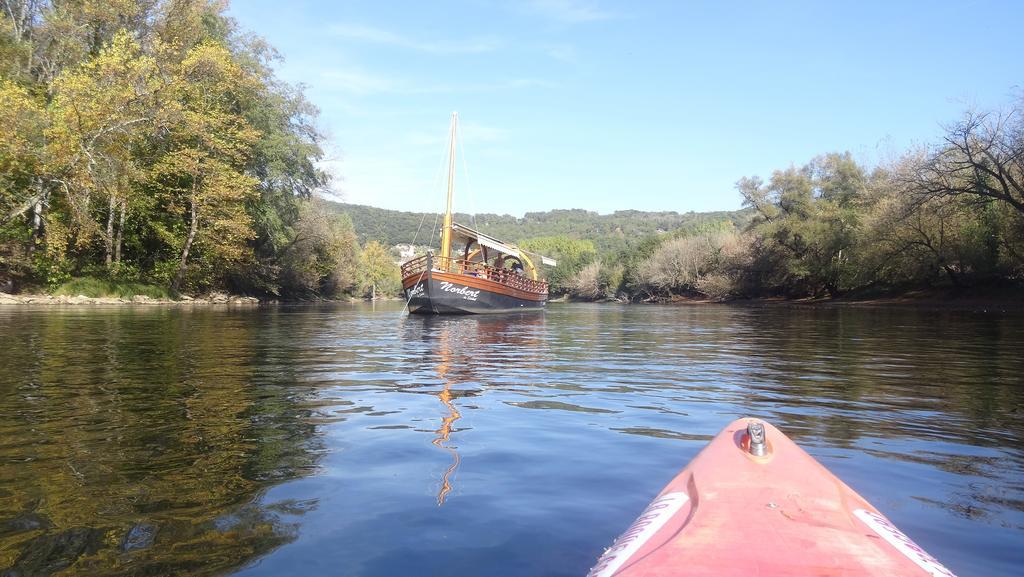 Au Pied Du Chateau - 5 A 11 Personnes - Baignade-Canoe-Piste Cyclable A 100 M Castelnaud La Chapelle Ngoại thất bức ảnh