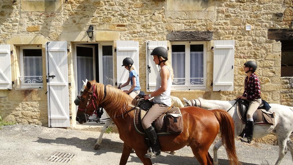 Au Pied Du Chateau - 5 A 11 Personnes - Baignade-Canoe-Piste Cyclable A 100 M Castelnaud La Chapelle Ngoại thất bức ảnh